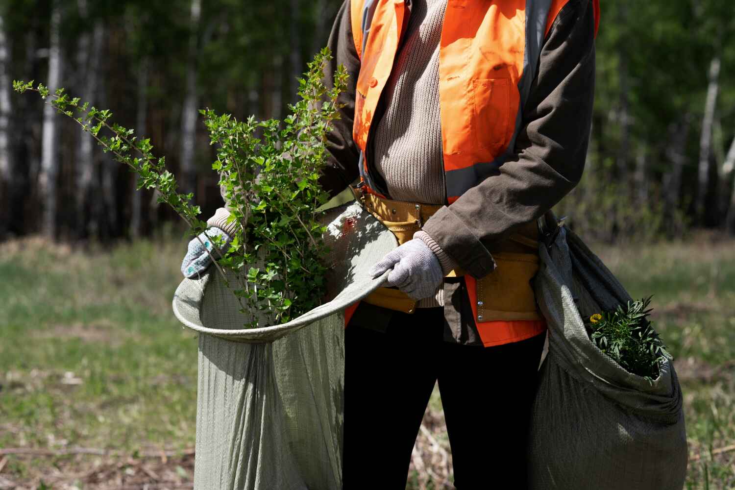 Best Tree Health Inspection  in Larksville, PA